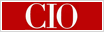 CIO Magazine: Electronic Electorate