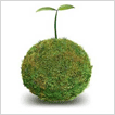 V A Shiva - A Model for Cross-Border Innovation V A Shiva - A Model for Cross-Border Innovation