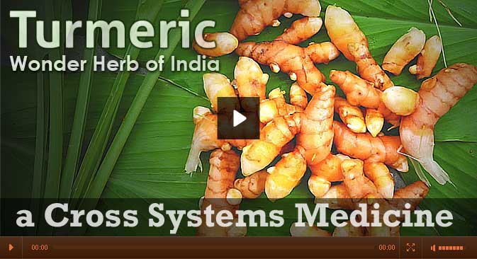 V A Shiva Lecture on Turmeric - Wonder Herb of India - a Cross Systems Medicine
